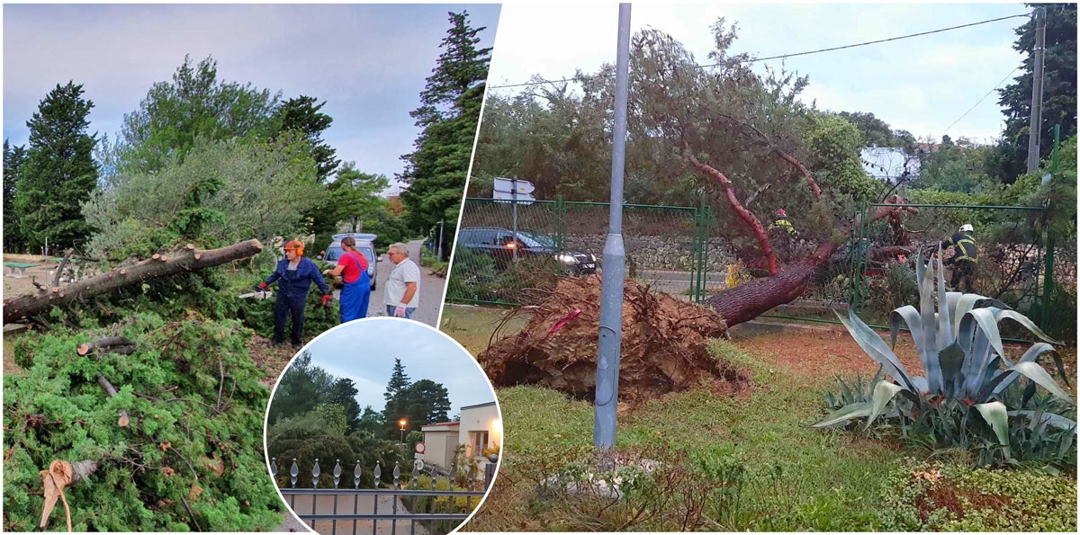 Olujno jugo praćeno kišom iščupalo dva stabla u krugu Psihijatrijske bolnice Rab