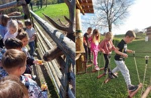 DV PAHULJICA – Rapska djeca na izletu u Liku posjetila “Dolinu jelena” i adrenalinski park