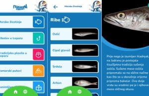 Instalirajte mobilnu aplikacije „Fisherman friend“ za edukaciju djece i mladih o ribarskoj tradiciji Lopara