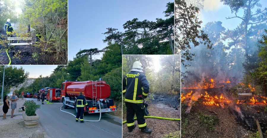 Ugašen požar u šumskom području iznad Lučice u Loparu