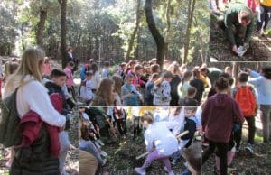 Suradnja Osnovne škole Ivana Rabljanina Rab i Fakulteta šumarstva i drvne tehnologije