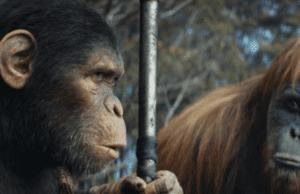 Planet majmuna: Novo kraljevstvo u subotu u Kinu Rab