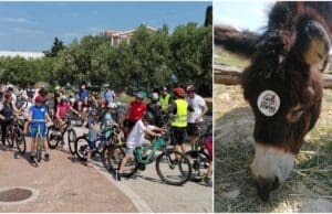 Posljednja nedjelja u lipnju rezervirana za humanitarnu Biciklijadu ‘Grab the Bike and Ride for Pinokio’