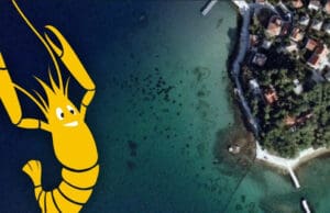 Dođite u subotu na tradicionalni rapski vaterpolo turnir