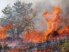 PODSJETNIK: Stroga zabrana loženja vatre na otvorenom prostoru