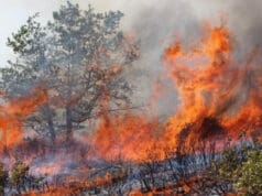 PODSJETNIK: Stroga zabrana loženja vatre na otvorenom prostoru
