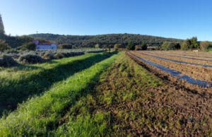 OBAVIJEST | Nova Odluka na savjetovanju s javnošću