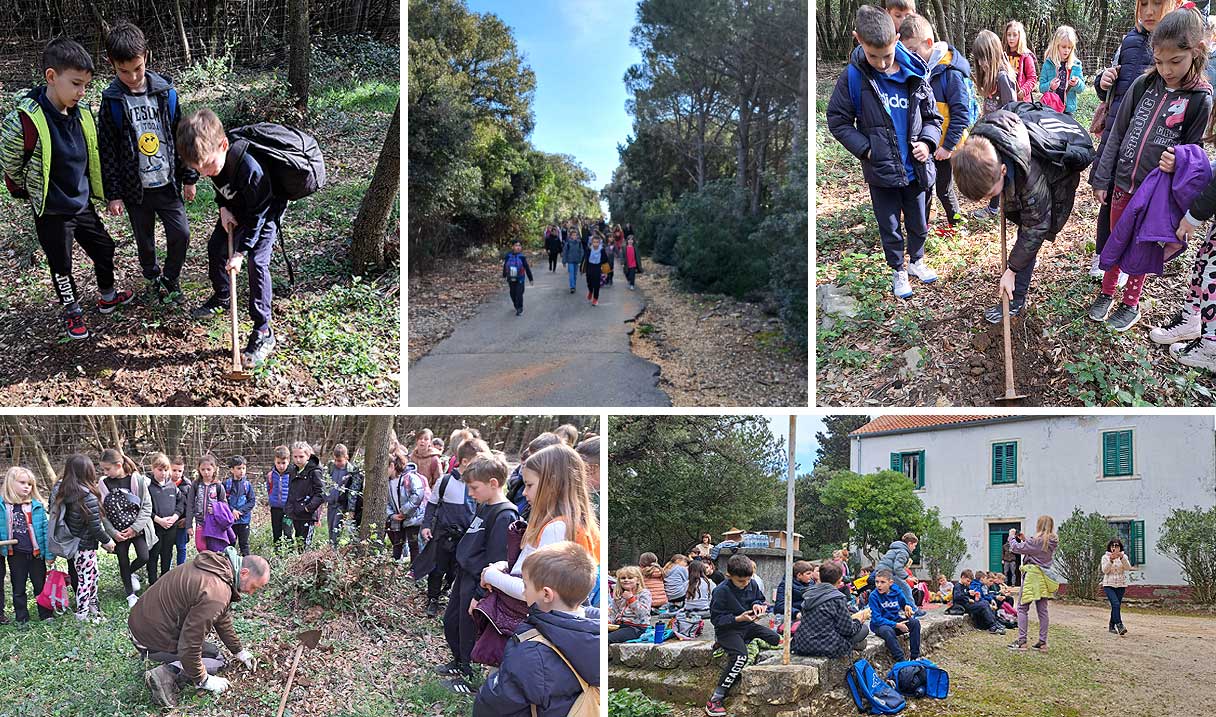 Učenici posjetili NPŠO Rab i saznali sve o hrastu crniki i životinjskim vrstama u šumi Kalifront Učenici posjetili NPŠO Rab i saznali sve o hrastu crniki i životinjskim vrstama u šumi Kalifront