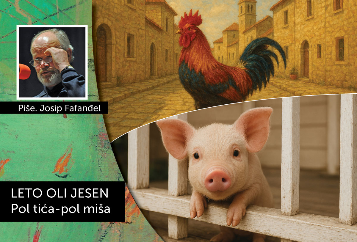 Rapski kantunić Josa Fafanđela | LETO OLI JESEN – Pol tića-pol miša