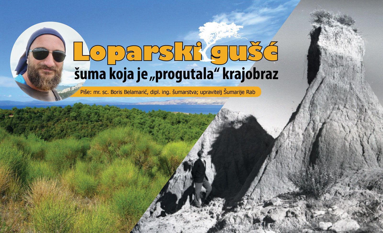 Bioraznolikost otoka Raba | LOPARSKI GUŠĆ – šuma koja je „progutala“ krajobraz Bioraznolikost otoka Raba | LOPARSKI GUŠĆ – šuma koja je „progutala“ krajobraz