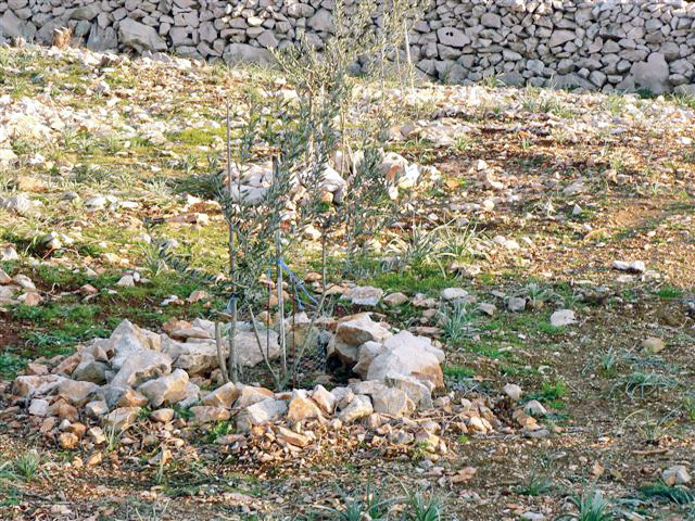 Besplatna edukacija o uzimanju uzoraka tla za analizu za registrirane OPG-ove