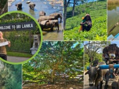 Na putu s Ivicom Jurešom | ŠRI LANKA – otok začina, osmijeha i prave avanture