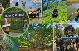 Na putu s Ivicom Jurešom | ŠRI LANKA – otok začina, osmijeha i prave avanture