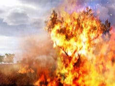 Radnici tvrtke s Raba palili građevinski i plastični otpad uz obalu na području Kampora