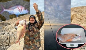 Kad arbun odluči biti kapitalac