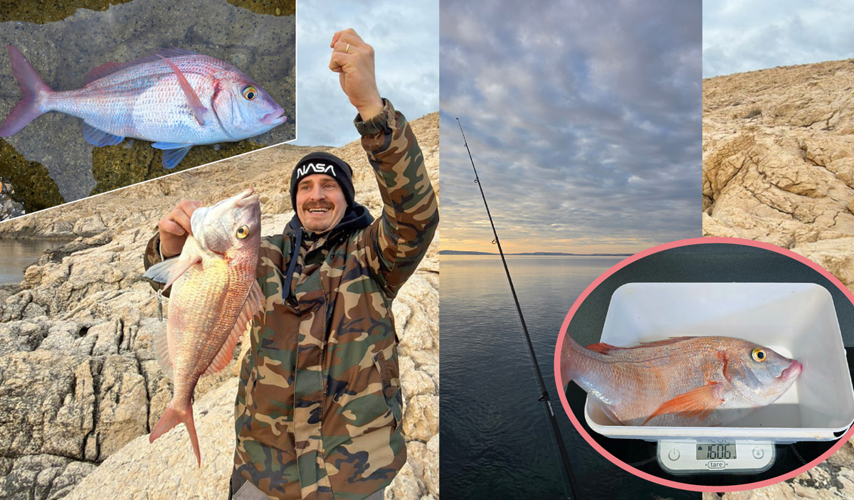 Kad arbun odluči biti kapitalac