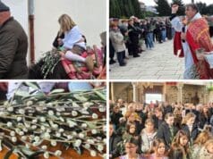 Cvjetnica, maslinska nedjelja | Hod prema miru, nadi i ljubavi