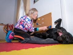 Mak, Aron i Dia: psi koji su unosili toplinu u bolničke dane Insule