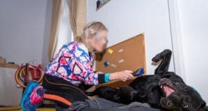 Mak, Aron i Dia: psi koji su unosili toplinu u bolničke dane Insule