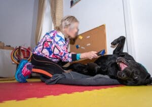 Mak, Aron i Dia: psi koji su unosili toplinu u bolničke dane Insule