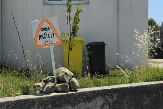 Predivna gesta u Mundanijama: Mališani izradili “prometni znak” kako bi zaštitili mačiće!