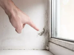Kako je Livio iz Marčane uklonio vlagu i plijesan u svom domu i apartmanu