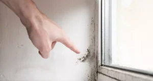 Kako je Livio iz Marčane uklonio vlagu i plijesan u svom domu i apartmanu