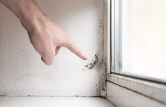 Kako je Livio iz Marčane uklonio vlagu i plijesan u svom domu i apartmanu