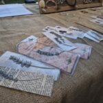 INSULA I ANIMA (4)