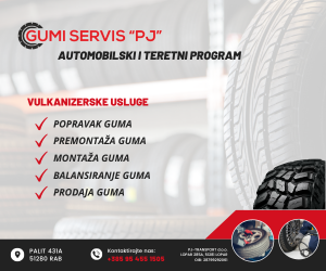 plin-rab_banner_300x250