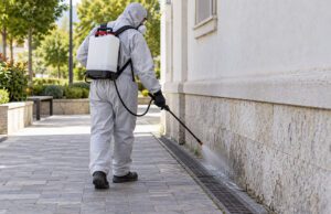 U Gradu Rabu i Loparu će se od 12. do 23. listopada provoditi dezinsekcija i deratizacija