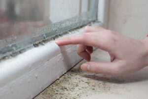 Dolaskom jeseni raste i problem vlage u domu – kvalitetna ventilacija postaje važnija